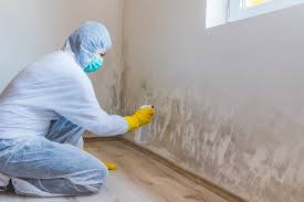 Best Environmental Consulting for Mold Prevention  in Crab Orchard, WV